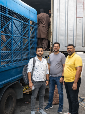 ChatGPT Image Feb 2 2026 02 21 48 PM Rim2io6d4kiykunye3xpg623j3dr6rnl0tijr3dsww